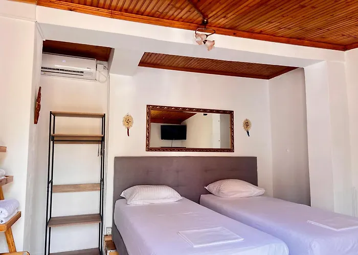 ホームステイ My *