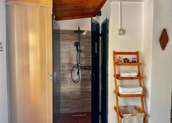 ホームステイ My